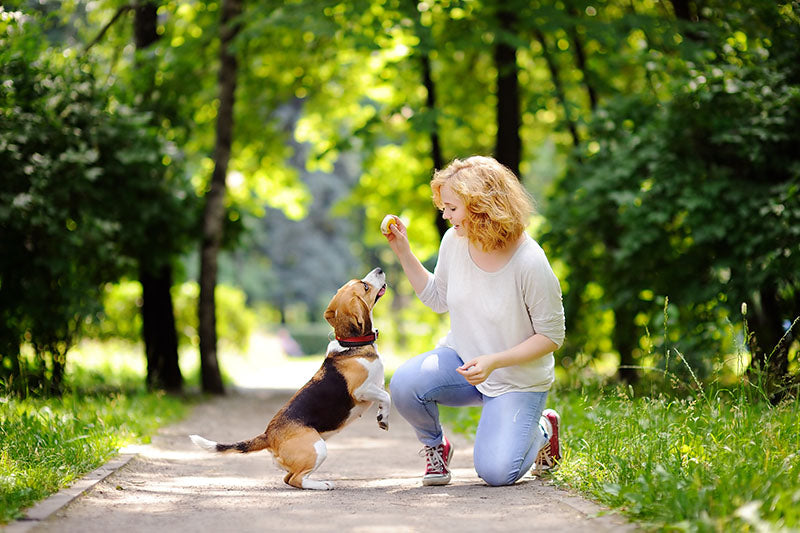 Physical & Mental Health Benefits of Having a Pet