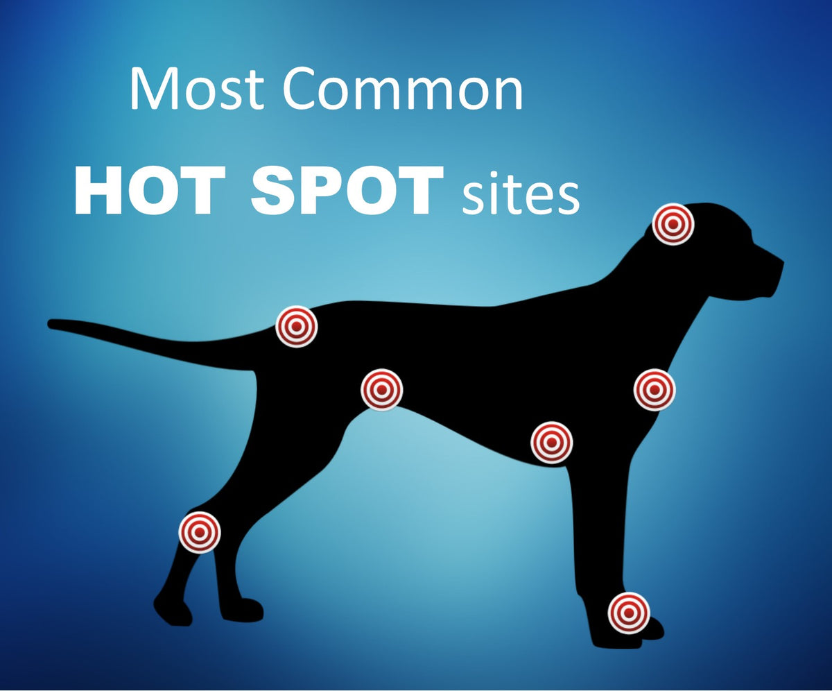 Canine Skin Issues Mupirocin Friend Or Foe - f801odm