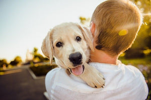 Can a pet dog help with depression?