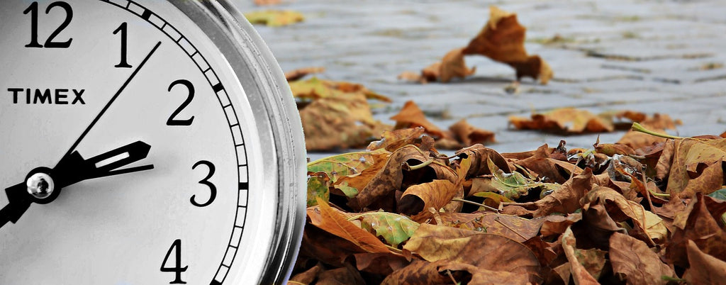 11 Tips for Navigating Daylight Saving Time