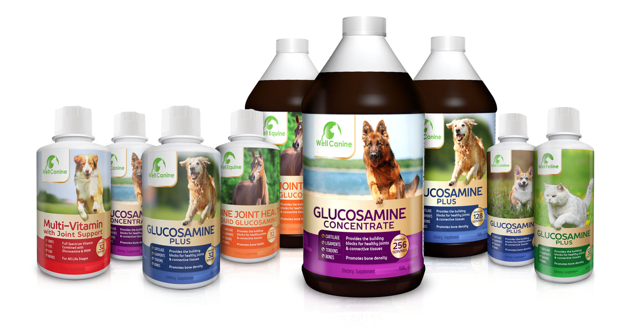 All Natural Pet Products