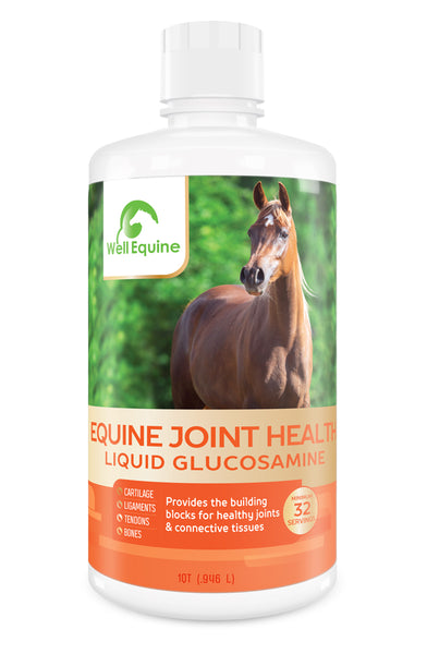Liquid Glucosamine for horses