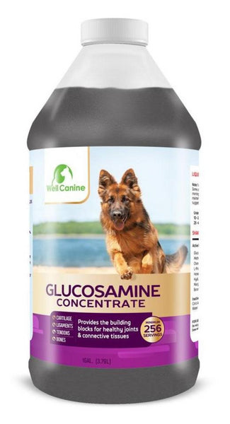 Canine Glucosamine Concentrate Gallon