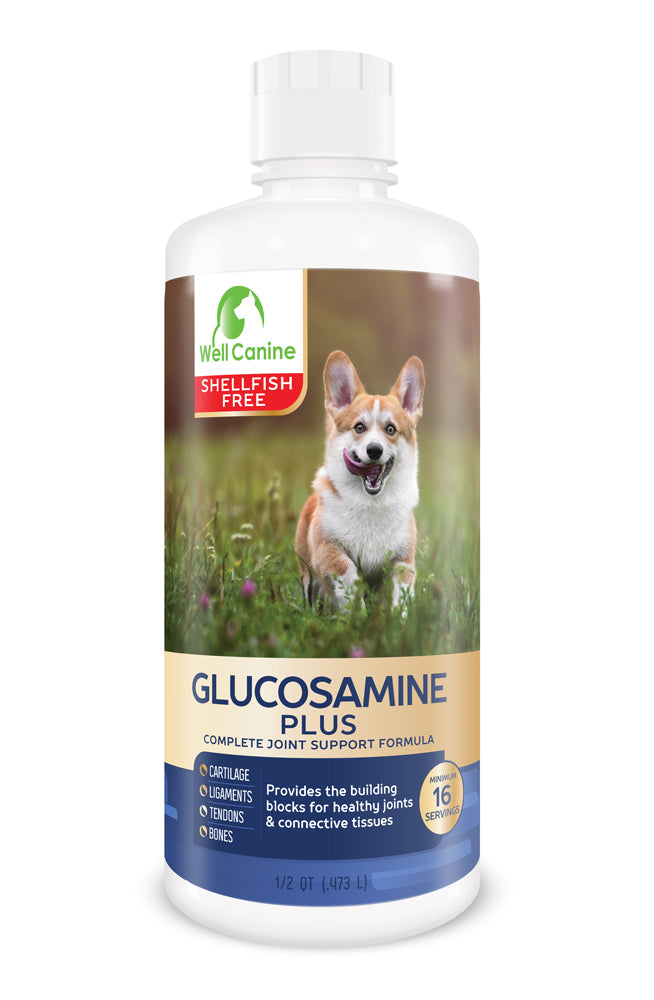 Canine Glucosamine Plus - liquid shellfish free glucosamine for dogs ...